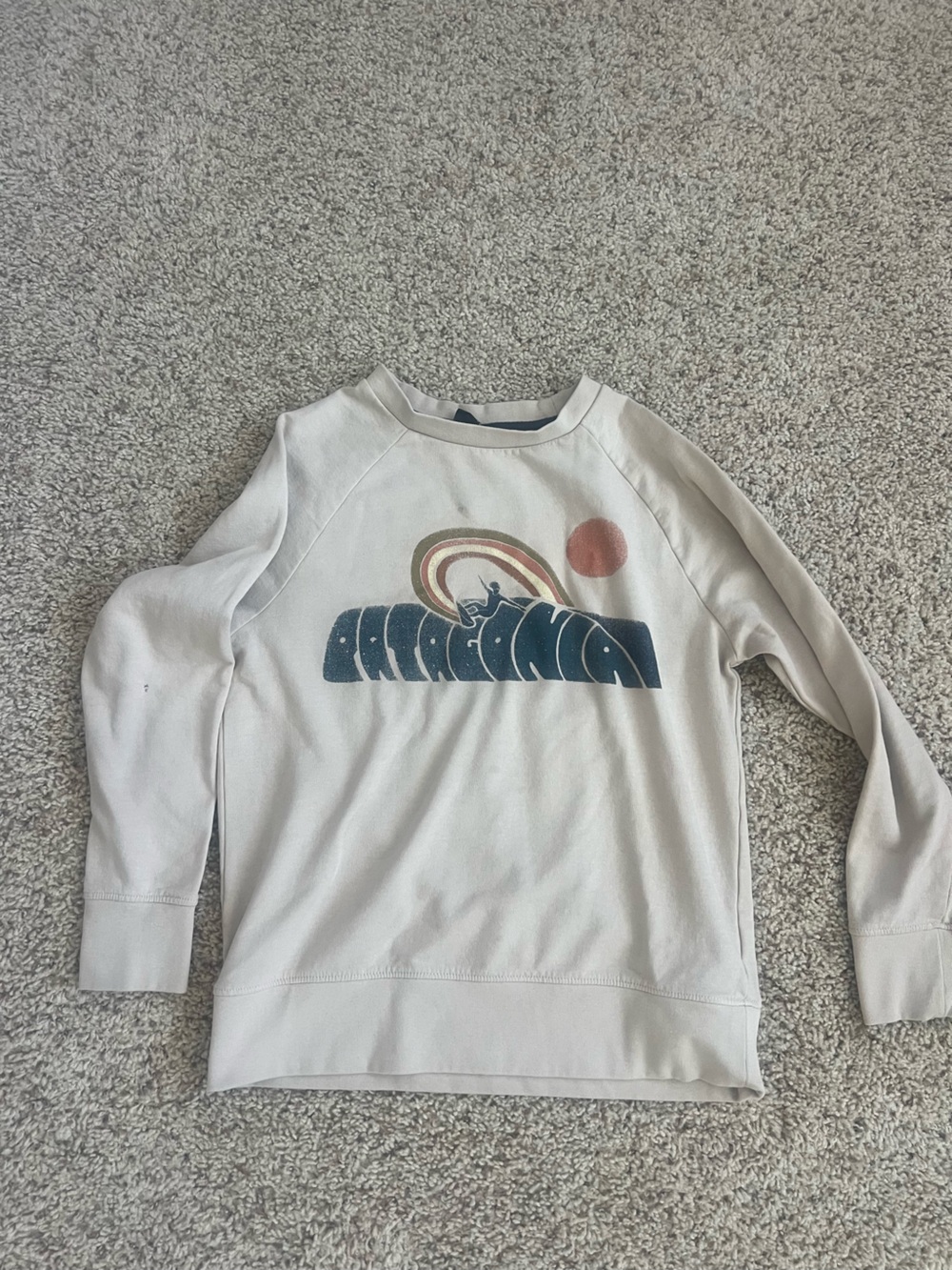 Patagonia Cream Crewneck Sweatshirt with Blue and Beige Graphic